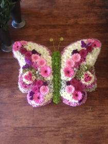 large Butterfly, white, pink and mauve