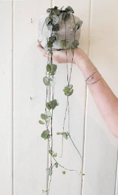 String of hearts and concrete pot