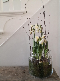 Spring bulb Vase