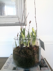 Spring bulb Vase