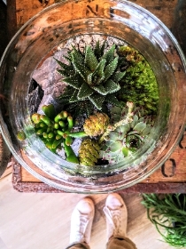 Living terrarium