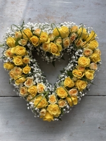 Yellow rose open heart